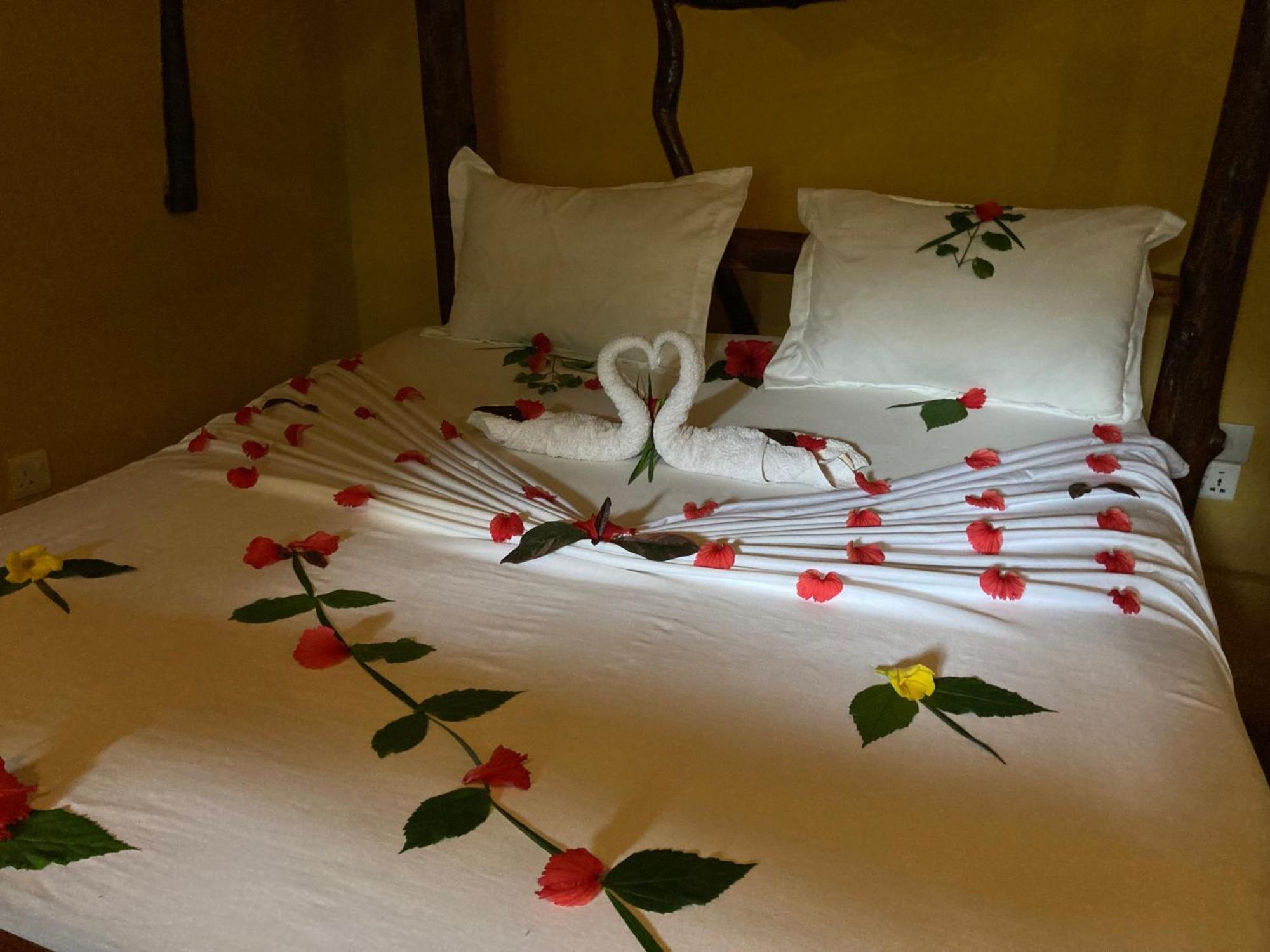 Pasa Lodge Zanzibar Nungwi Ruang foto