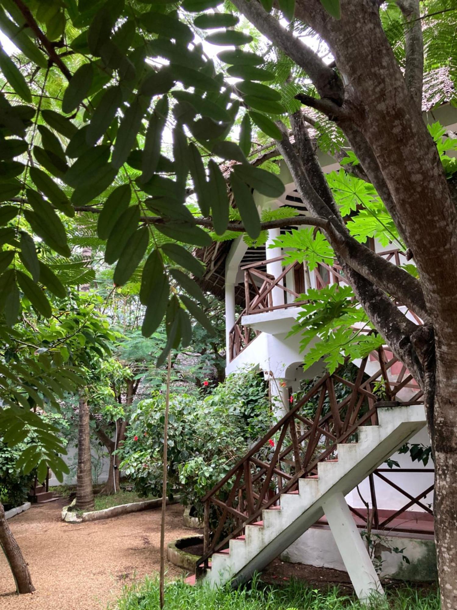 Pasa Lodge Zanzibar Nungwi Bagian luar foto